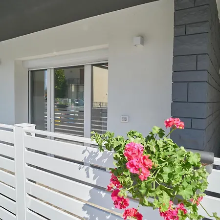Borghesi Fronte Mare Apartment Rimini