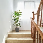 Apartmán Borghesi Fronte Mare